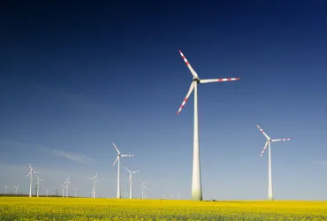 0ec1353c image 3